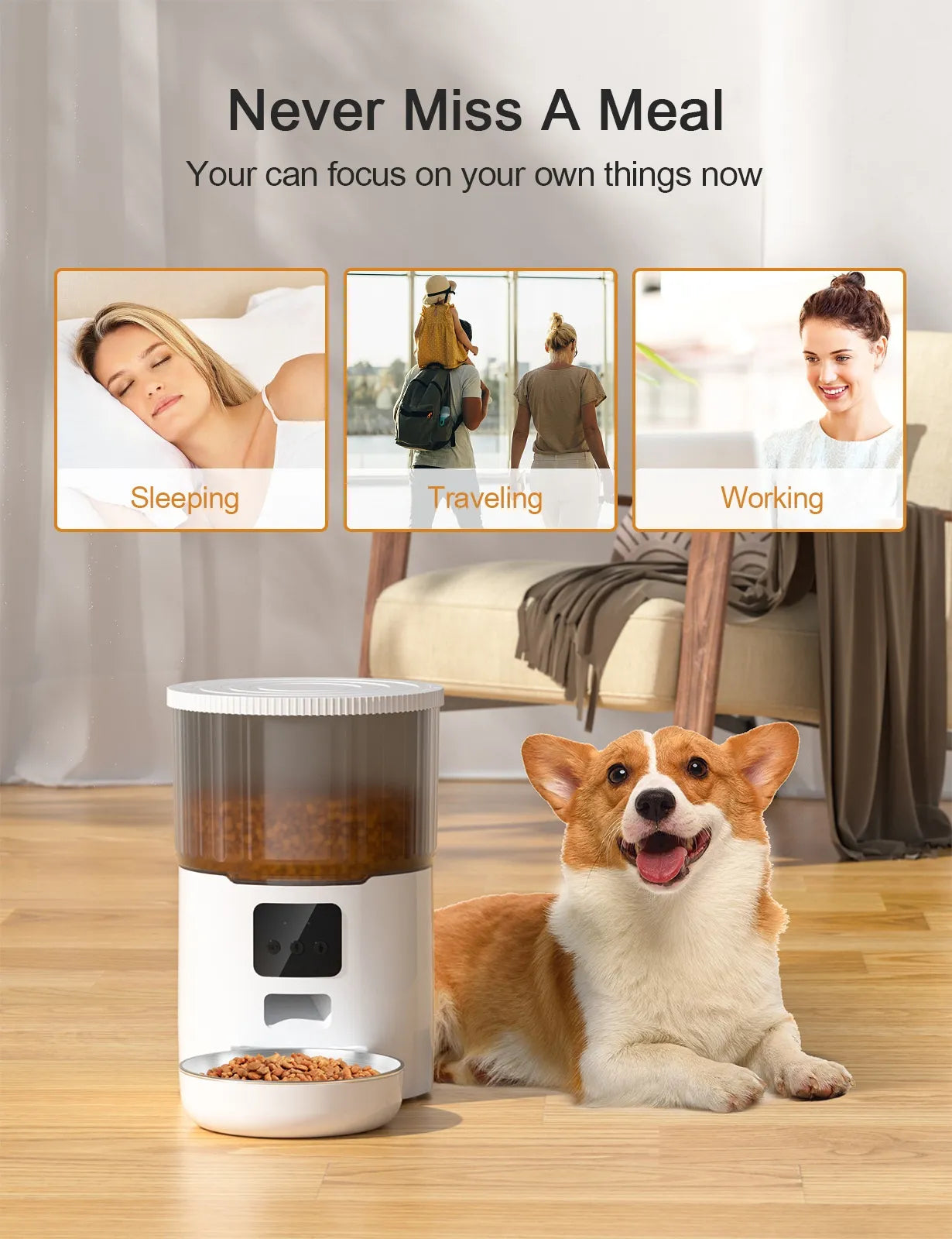 Cat Smart Dog Automatic Pet Feeder A minha loja