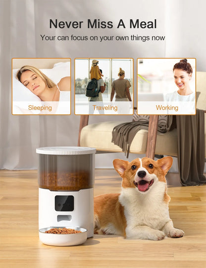 Cat Smart Dog Automatic Pet Feeder A minha loja