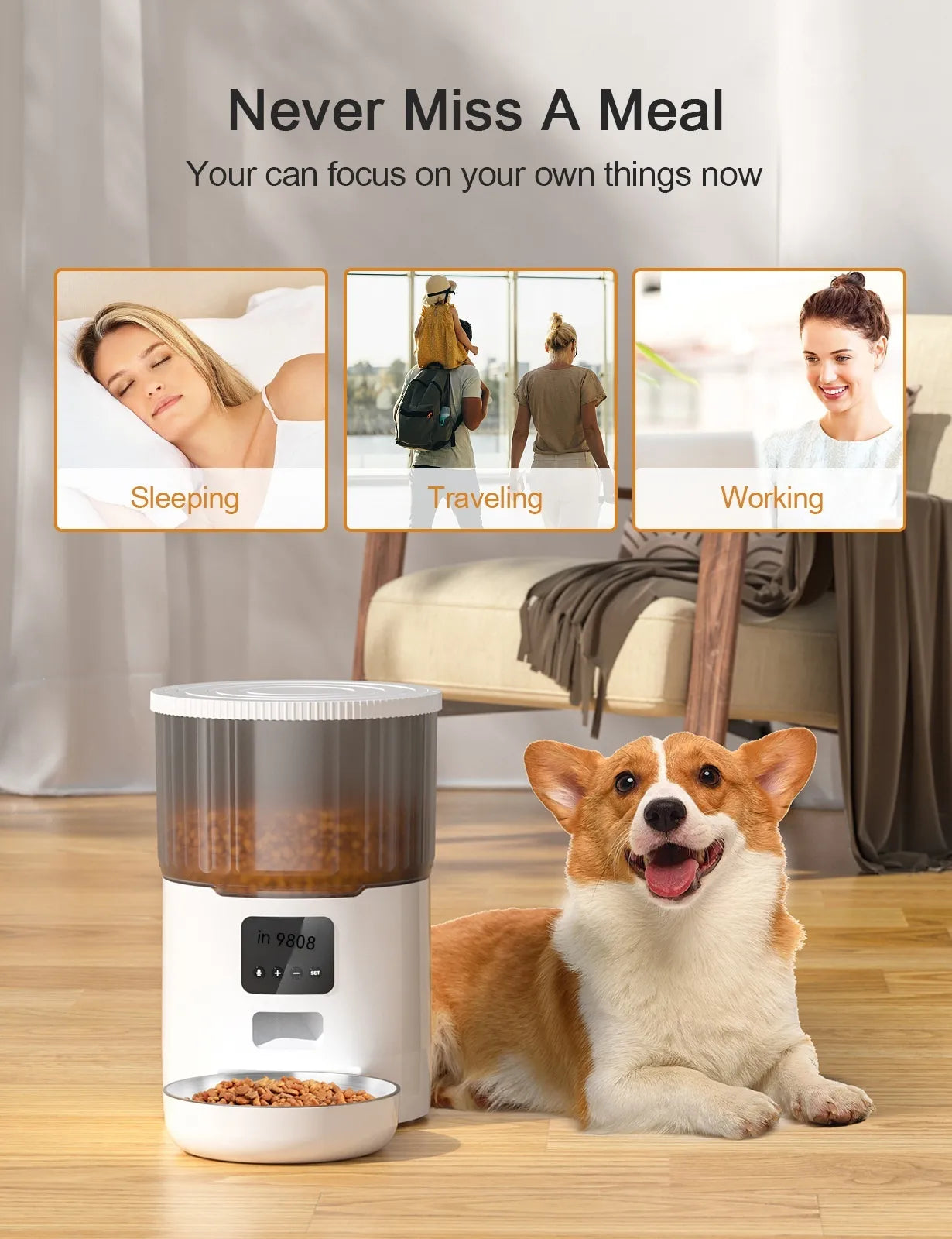 Cat Smart Dog Automatic Pet Feeder A minha loja
