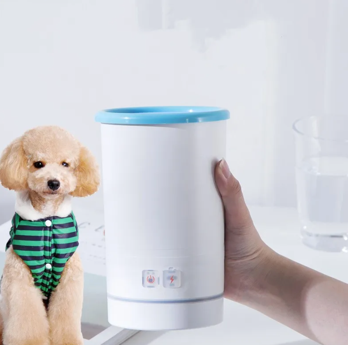 Paw Cleaner Cup A minha loja