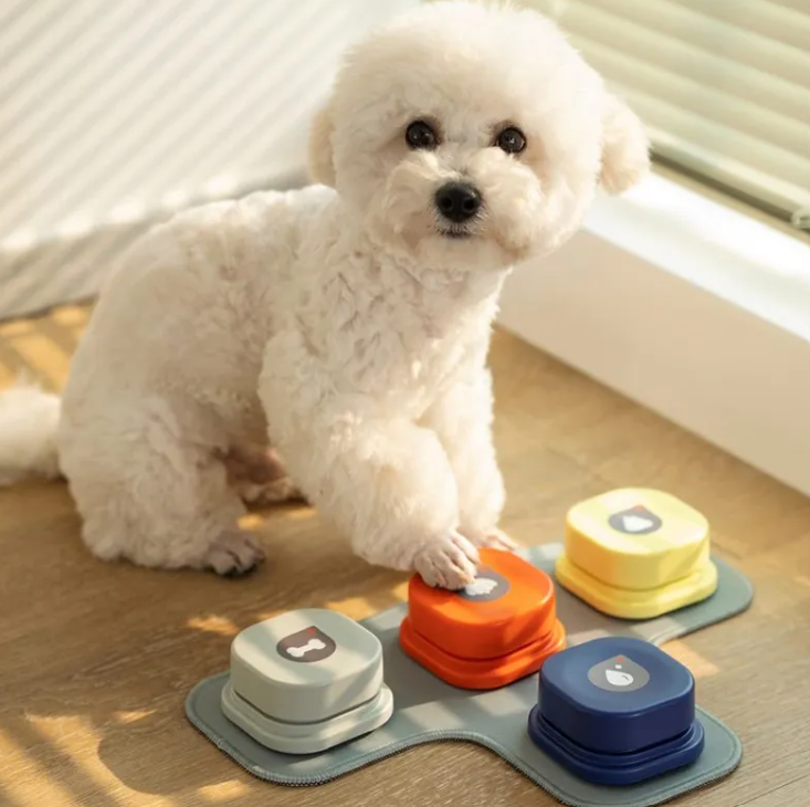 Pet Toy A minha loja