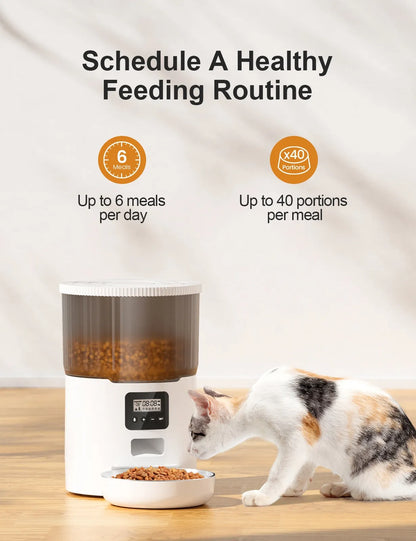 Cat Smart Dog Automatic Pet Feeder A minha loja